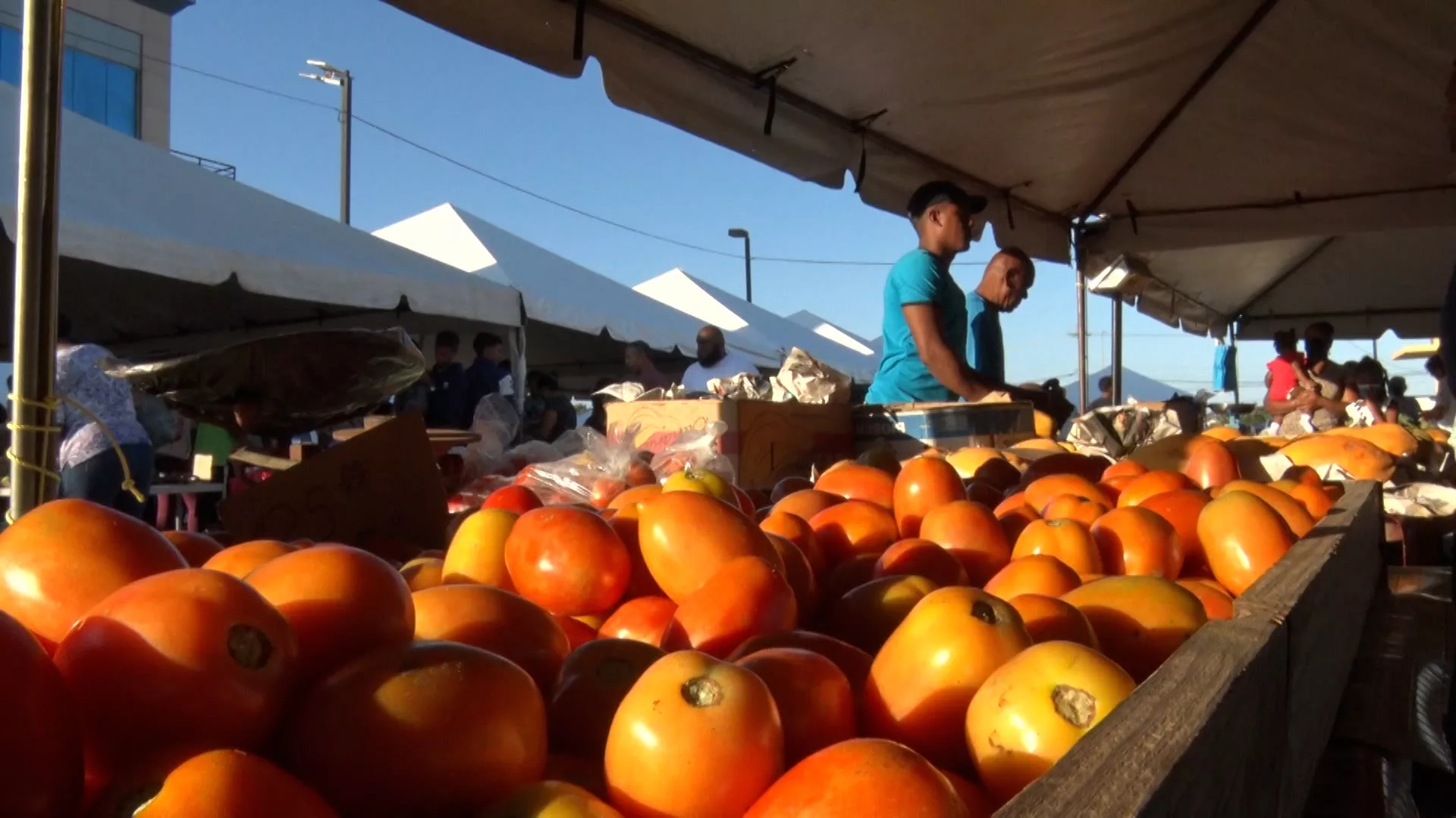 CSO Releases Consumer Price Index – January 2026: Inflation At 0.7%