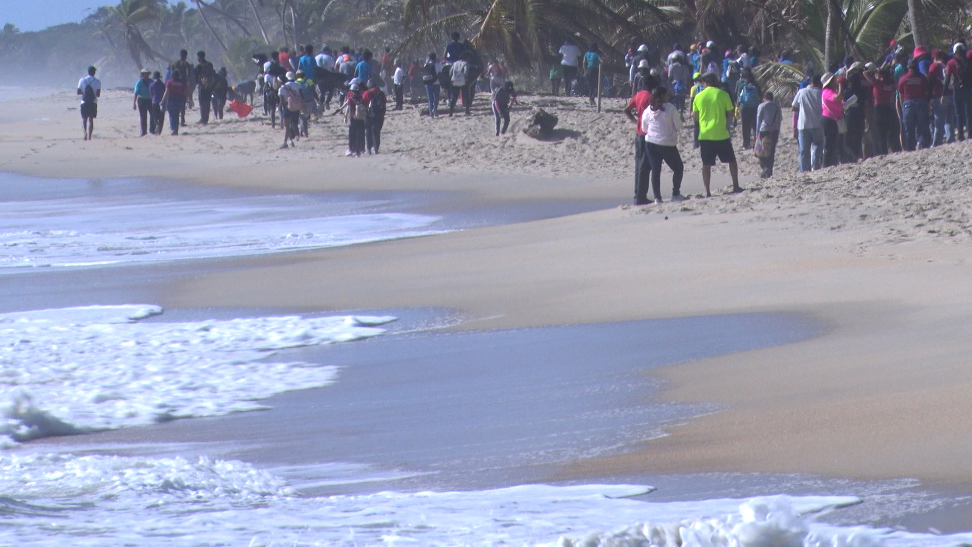 1,000+ Volunteers Join Beach Clean-up To Support Turtle Nesting And ...