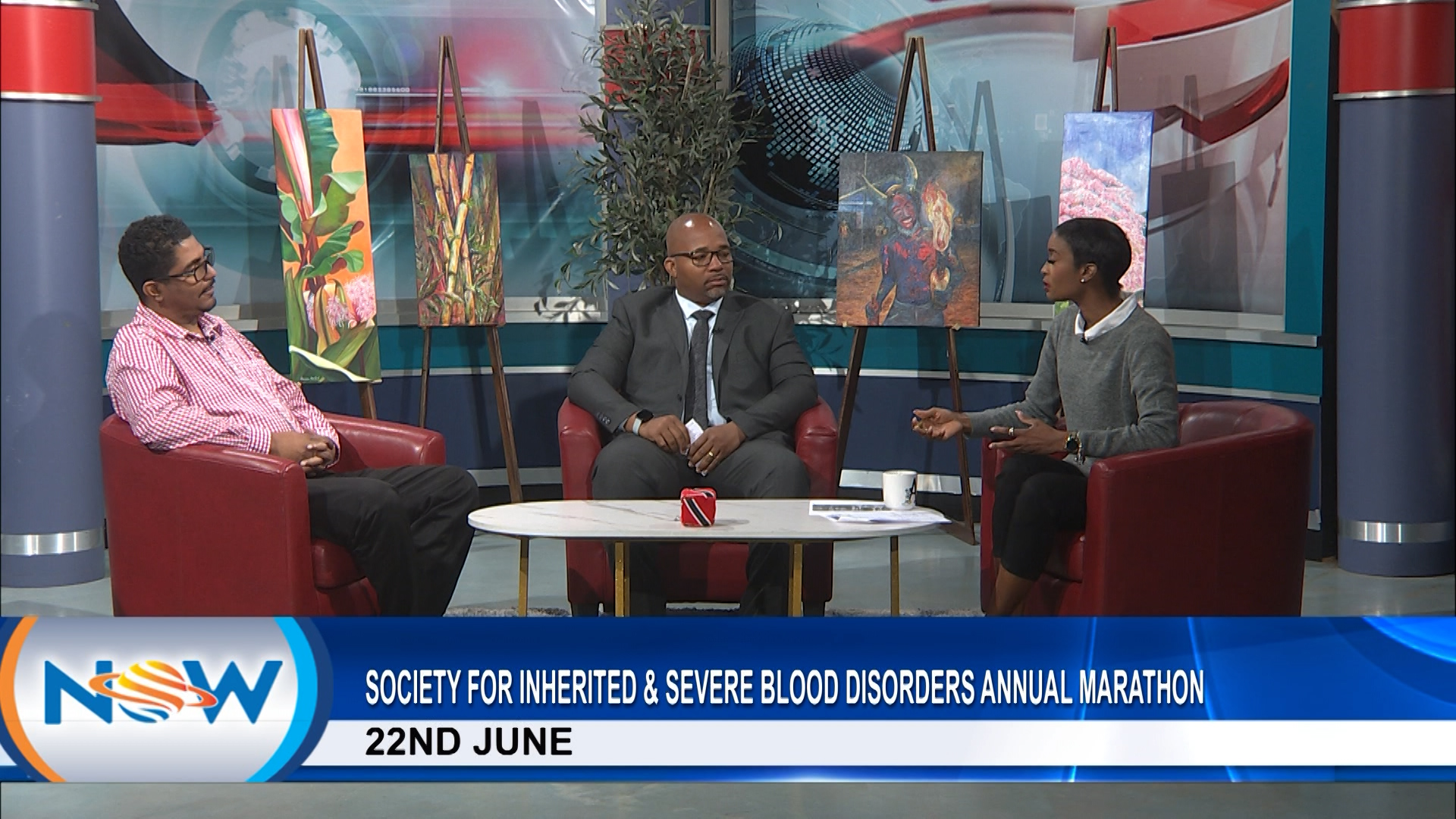 Society For Inhereted And Severe Blood Disorders Annual Marathon