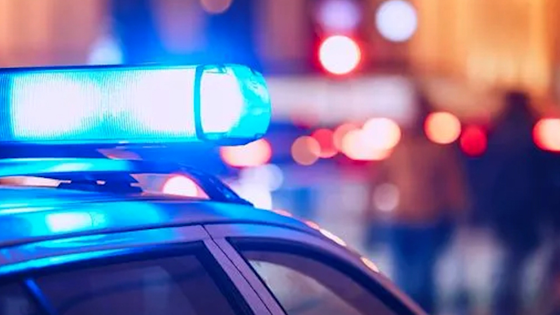 Police Seize Gun, Ammunition, And Cannabis In Tobago Operations