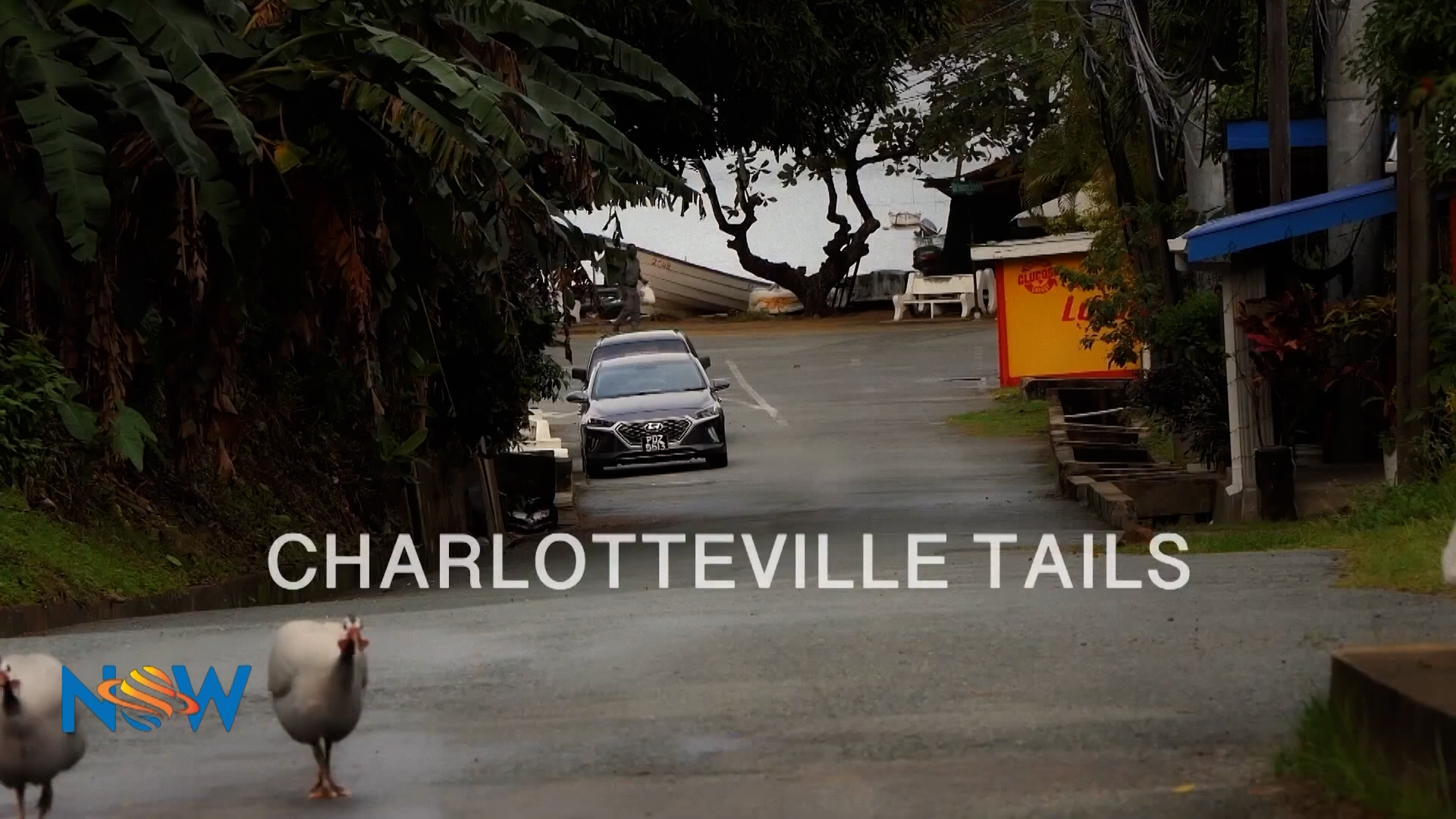 Elspeth Wins At TT Film Festival Best Film Made In T&T – “Charlotteville Tails”
