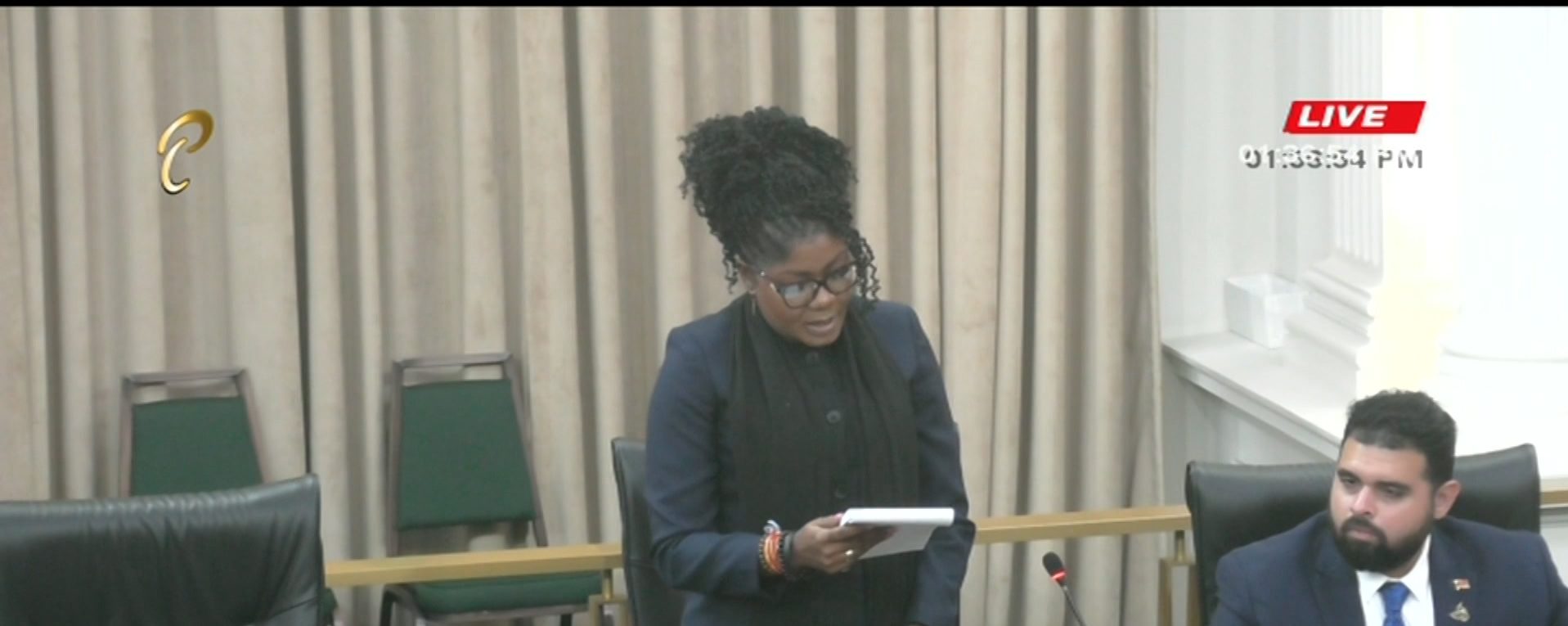 Government Assures Public Of Adequate Carnival Venue Arrangements