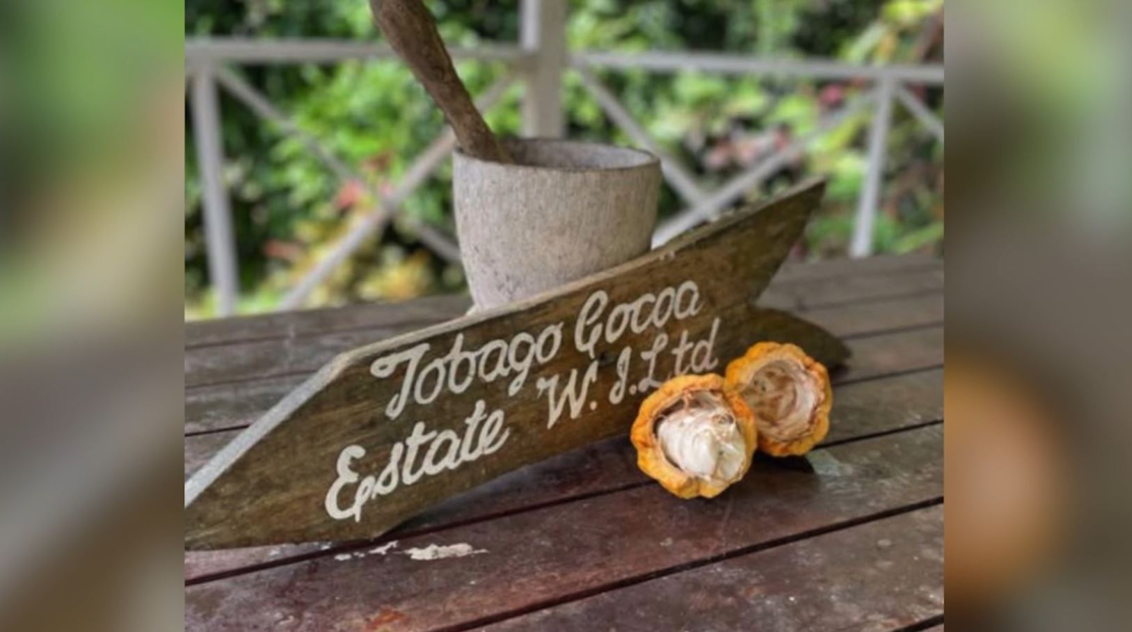 I Love Tobago: Tobago Cocoa Estate Wins Silver At International Chocolate Awards 2025