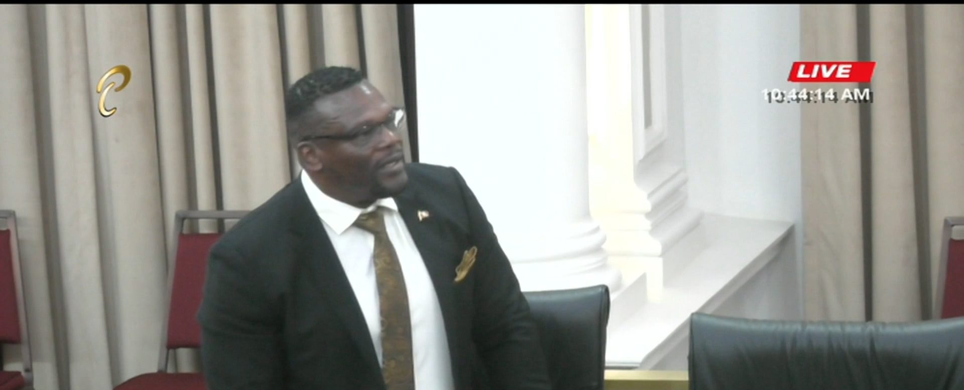 Minister Alexander Presents Updated Crime Statistics To Senate