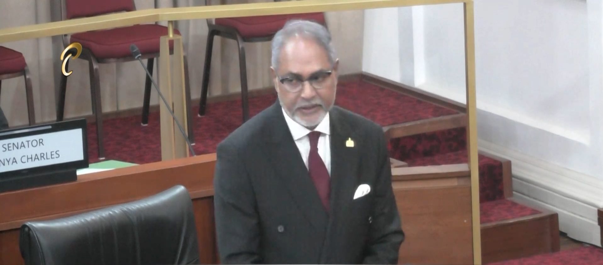 Senator Allahar Pays Tribute To Dr. Daphne Phillips-Gaskin