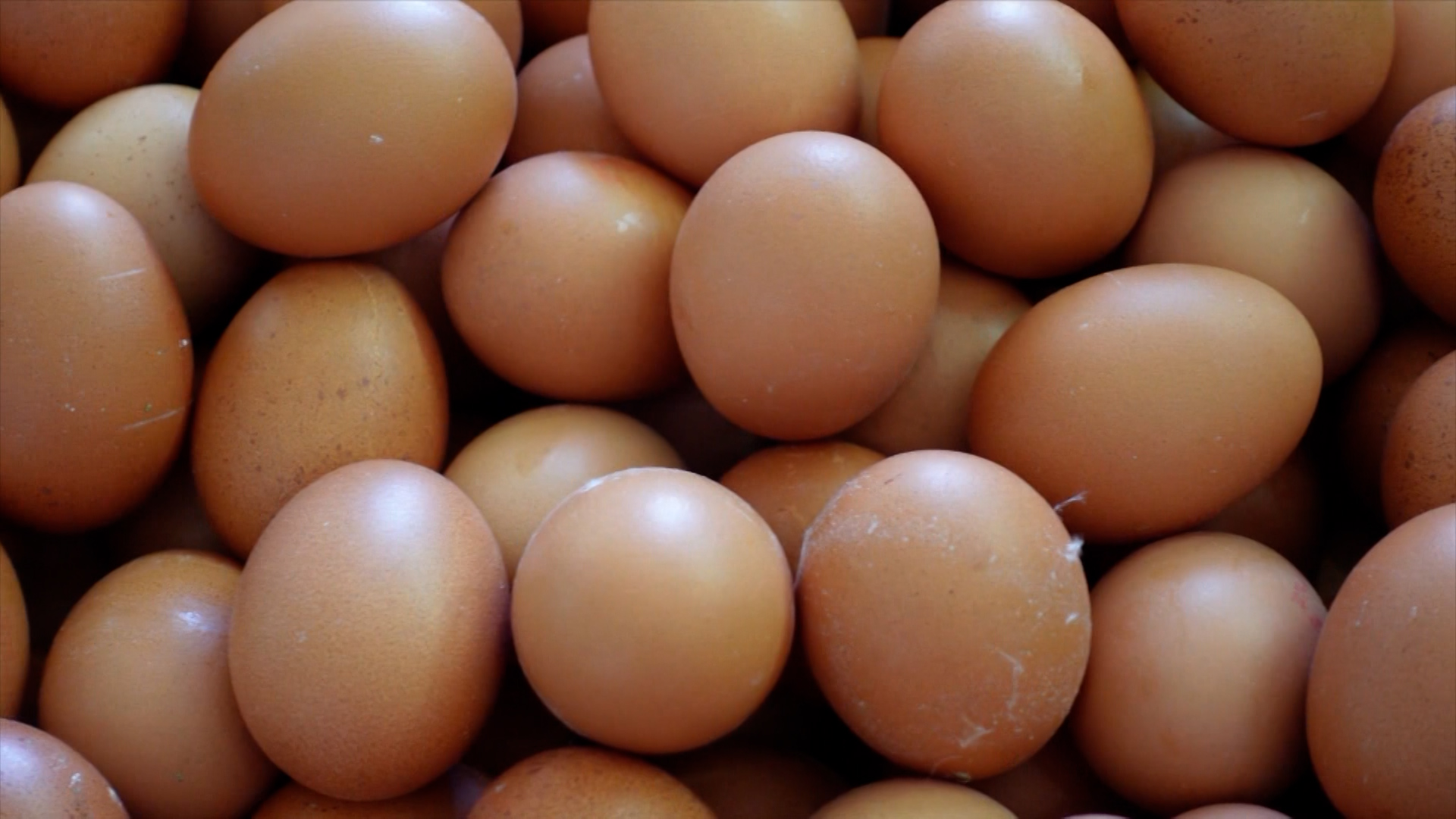 THA Announces Increase In Egg Prices At Government Farms In Tobago