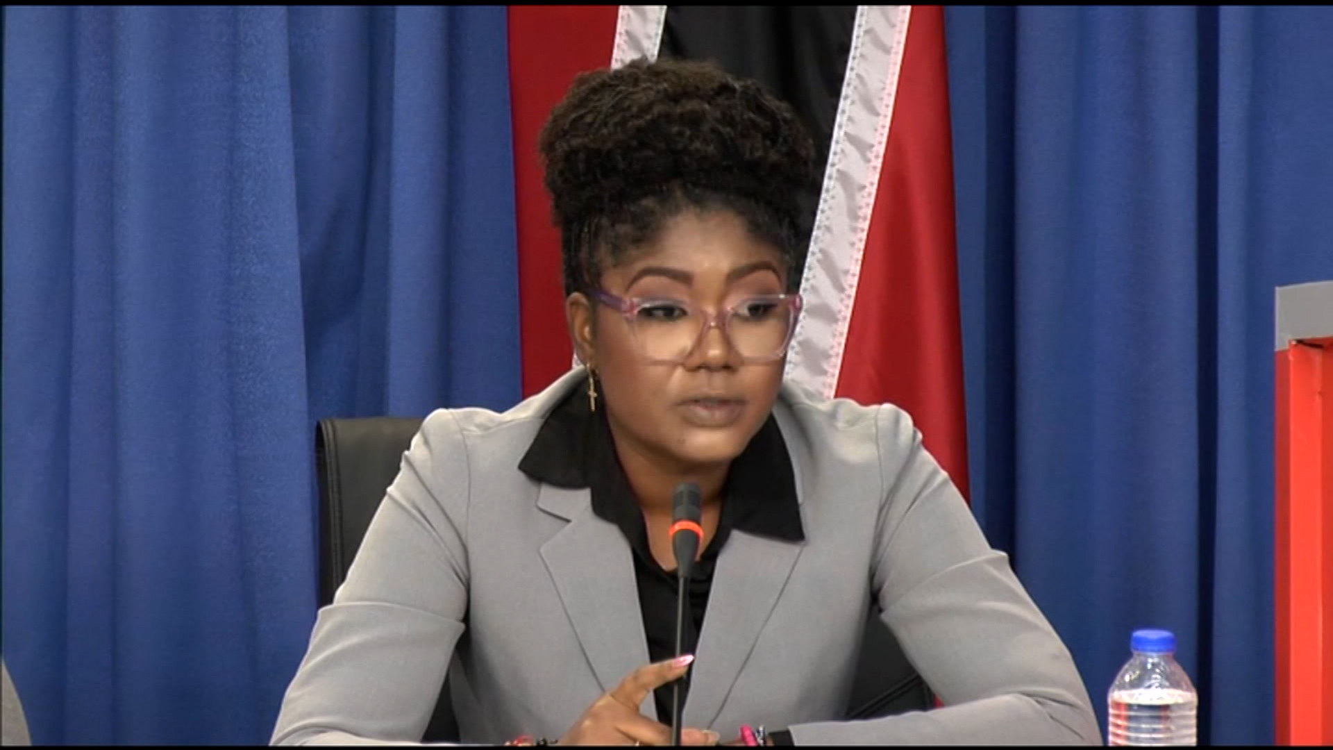 Artistes Will Be Paid For Flava Village Performances