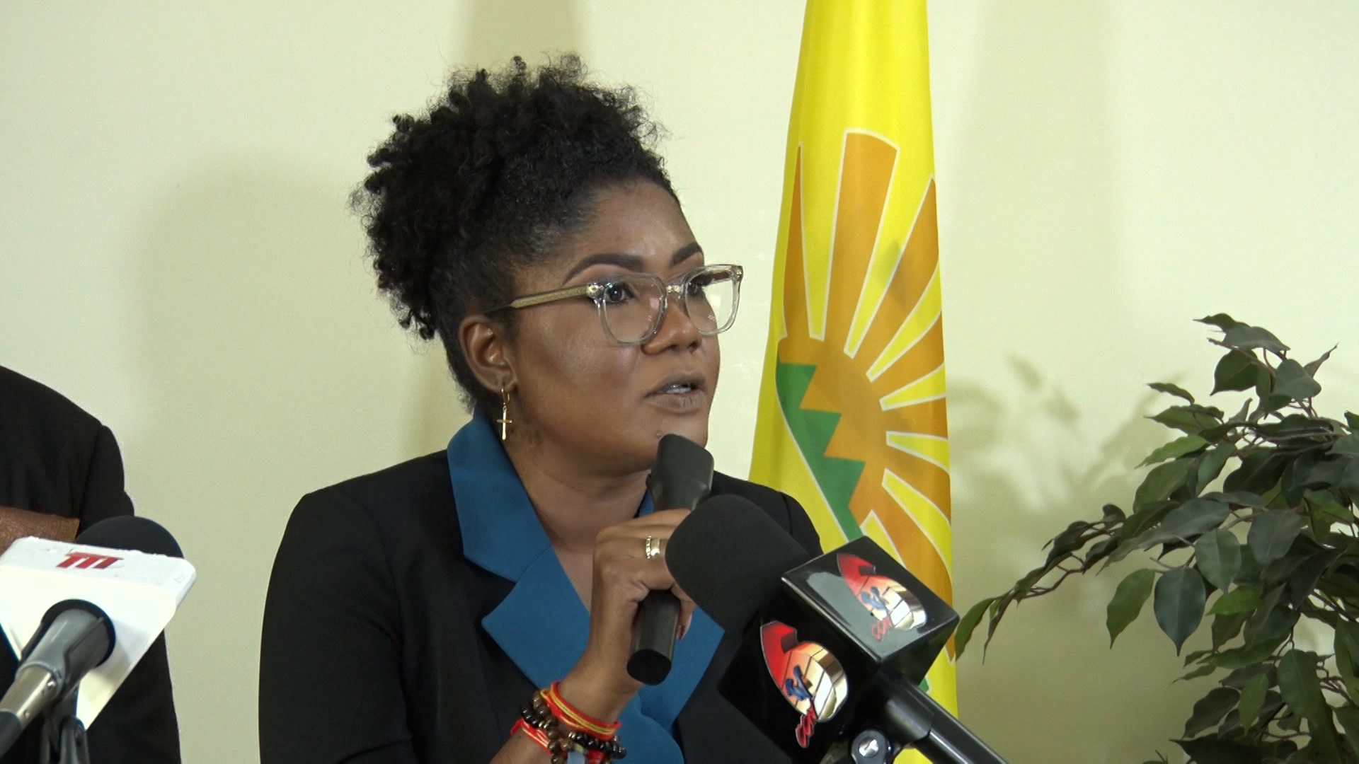 Minister Benjamin Assures Carnival Will Proceed In San Fernando