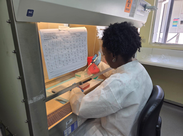 CARPHA Emphasizes Insecticide Resistance Testing As Chikungunya Cases Rise In Caribbean