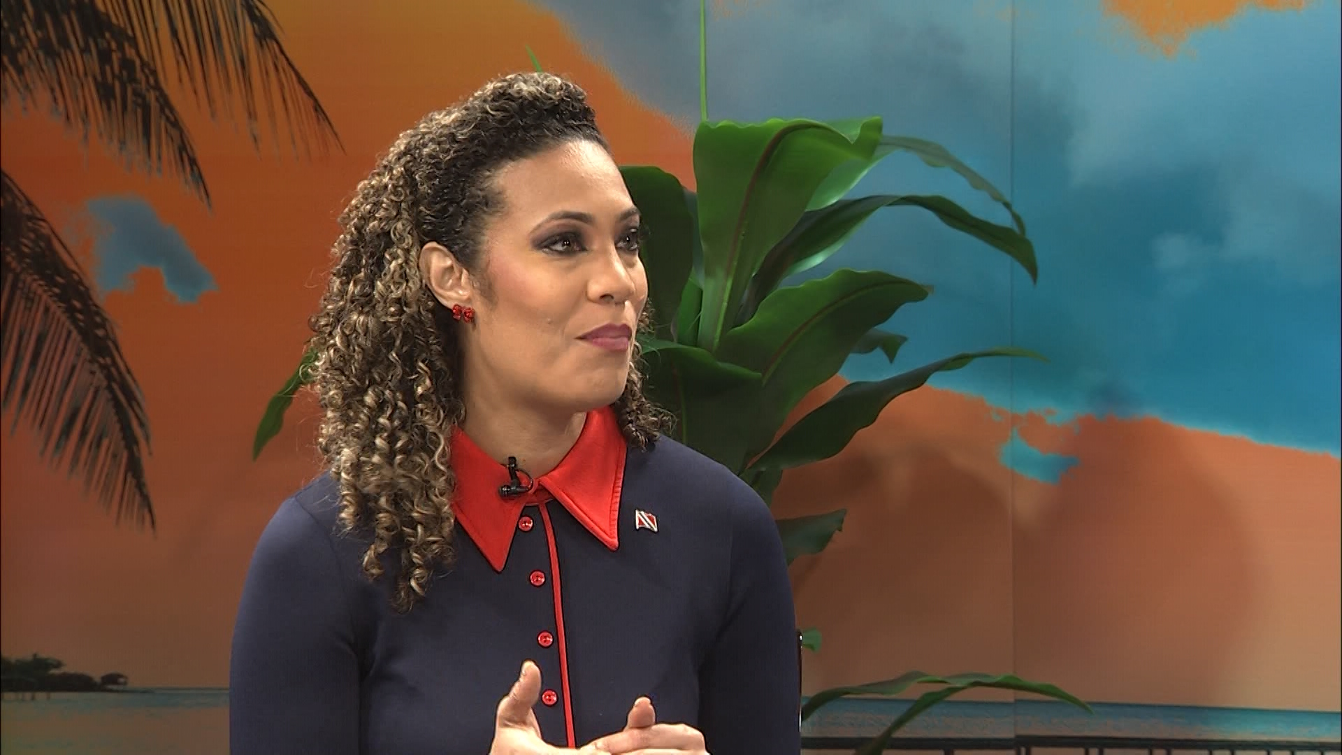 Minister Ameen Pushes Regional Carnival Growth – “Rural Communities Must Benefit”