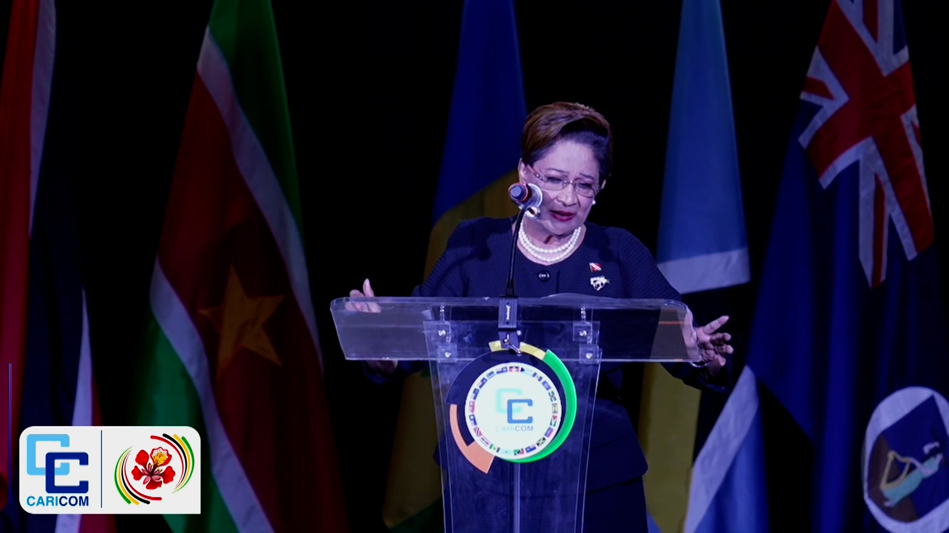 PM Persad-Bissessar: CARICOM Must Be A Voice For All, Not Just Governments
