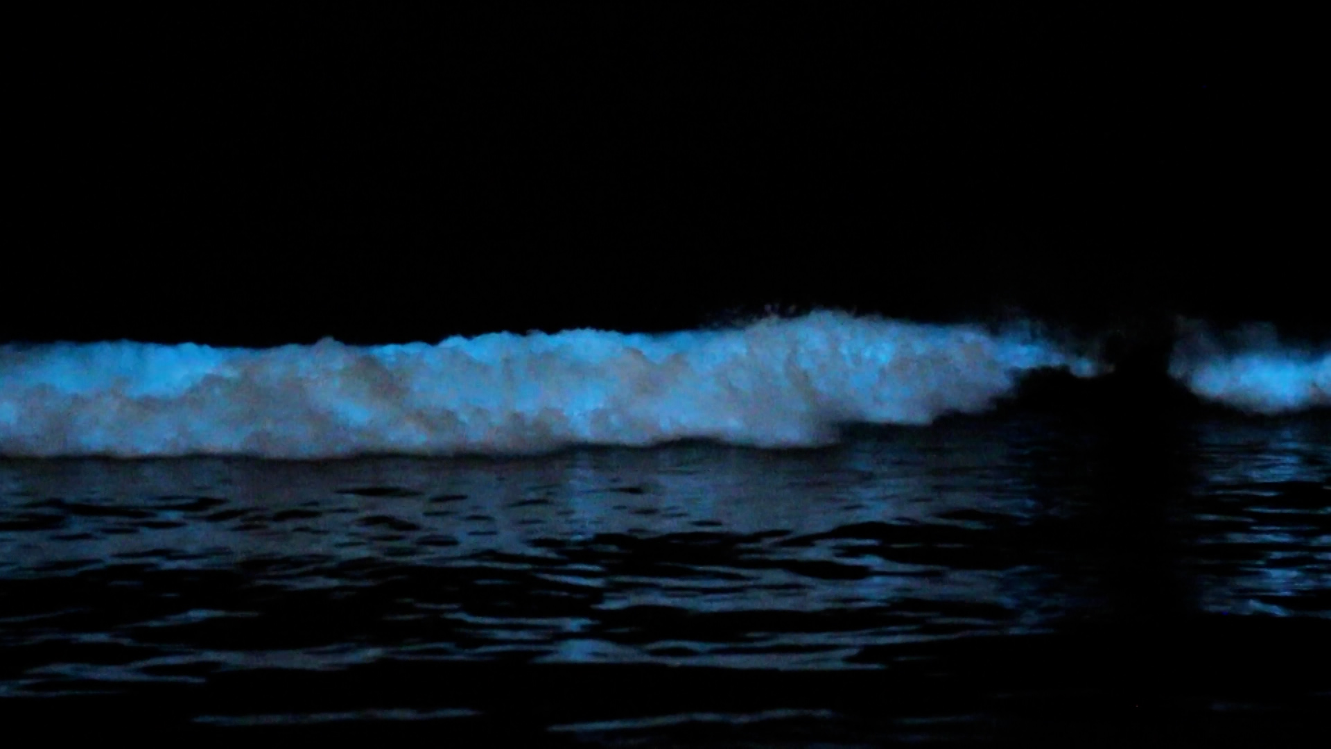 I Love Tobago – Exploring Tobago’s Natural Light Show