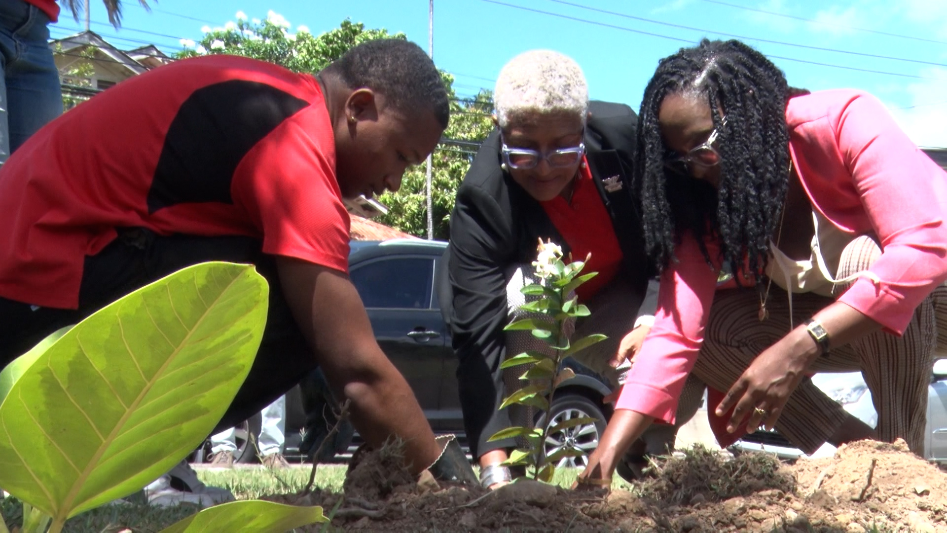 Tree Planting Initiative Marks Commonwealth Day In T&T