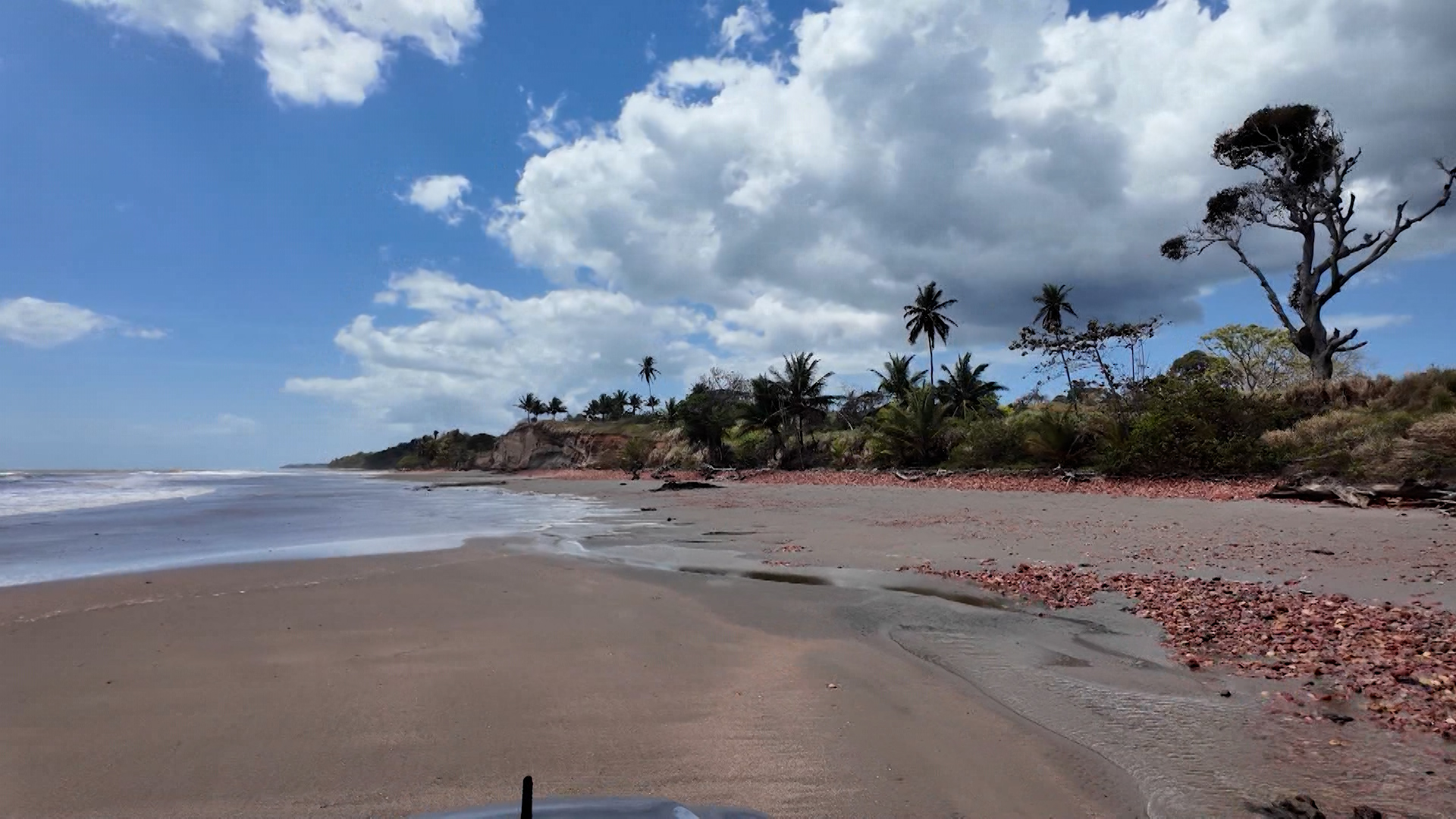 Right Here – On The Way To Chatham: A Journey Through Trinidad’s South-West Peninsula