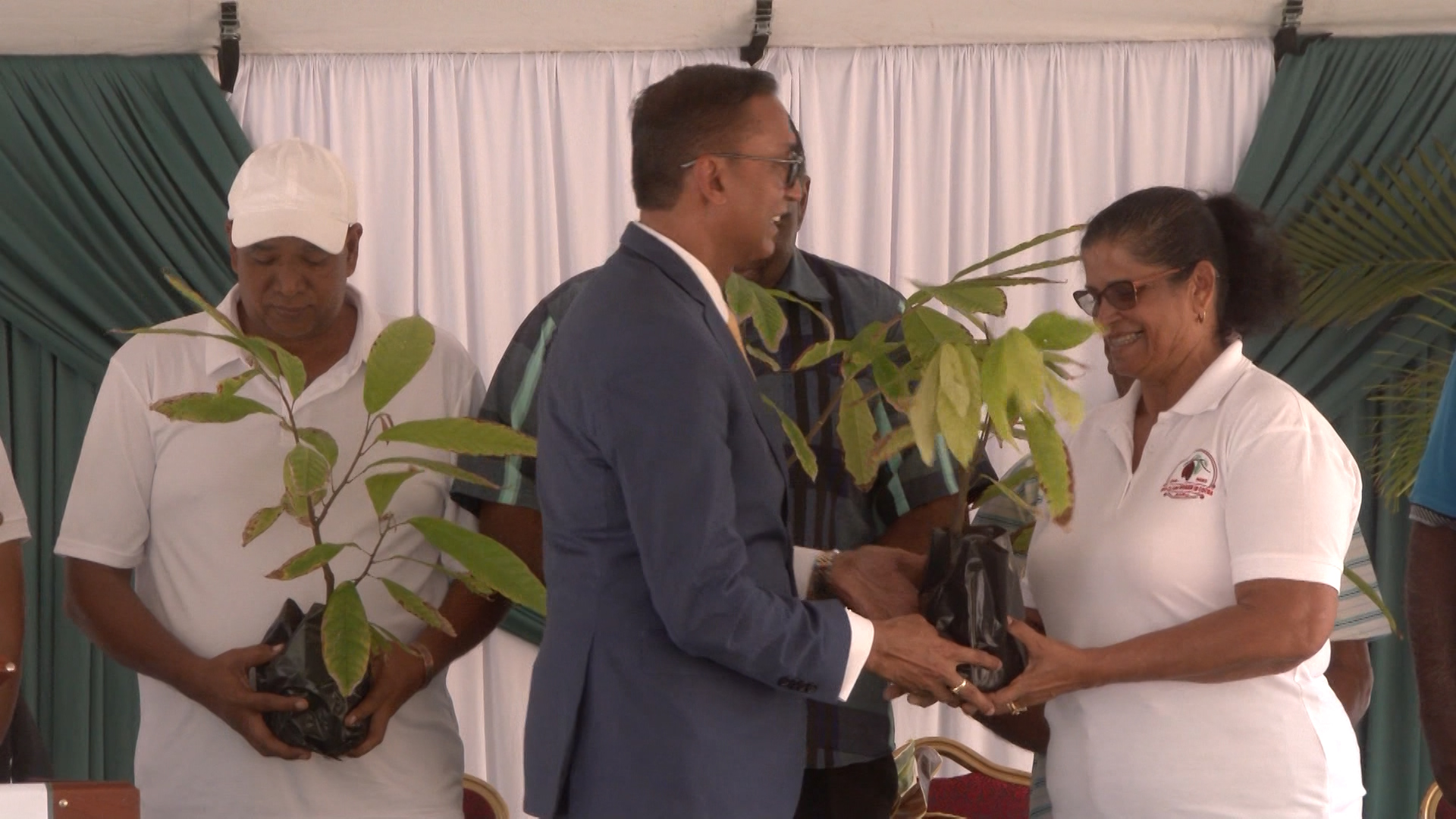 New Steering Committee Targets Cocoa Revival