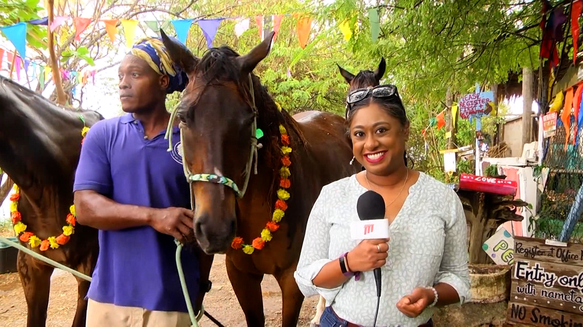 Healing With Horses Creates Tobago’s First Wheelchair-Accessible Park