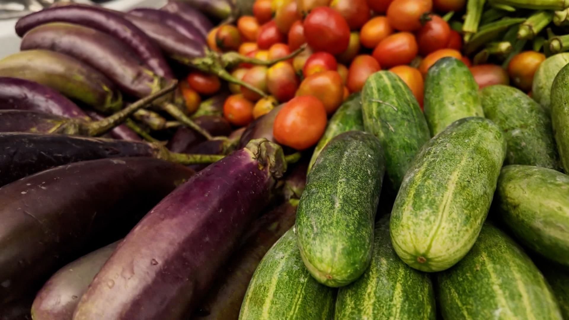 Keeping It Green – The Future Of Food Security In T&T