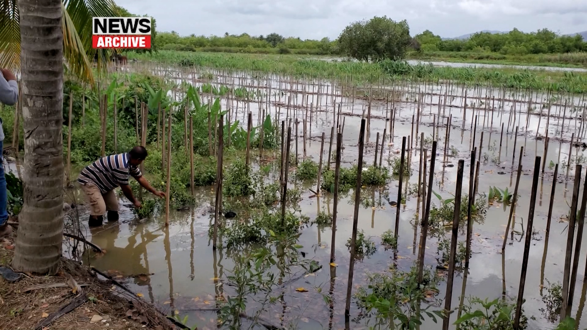 UWI’s Food And Agriculture Dean : Soil Health Affects Flooding And Land Instability