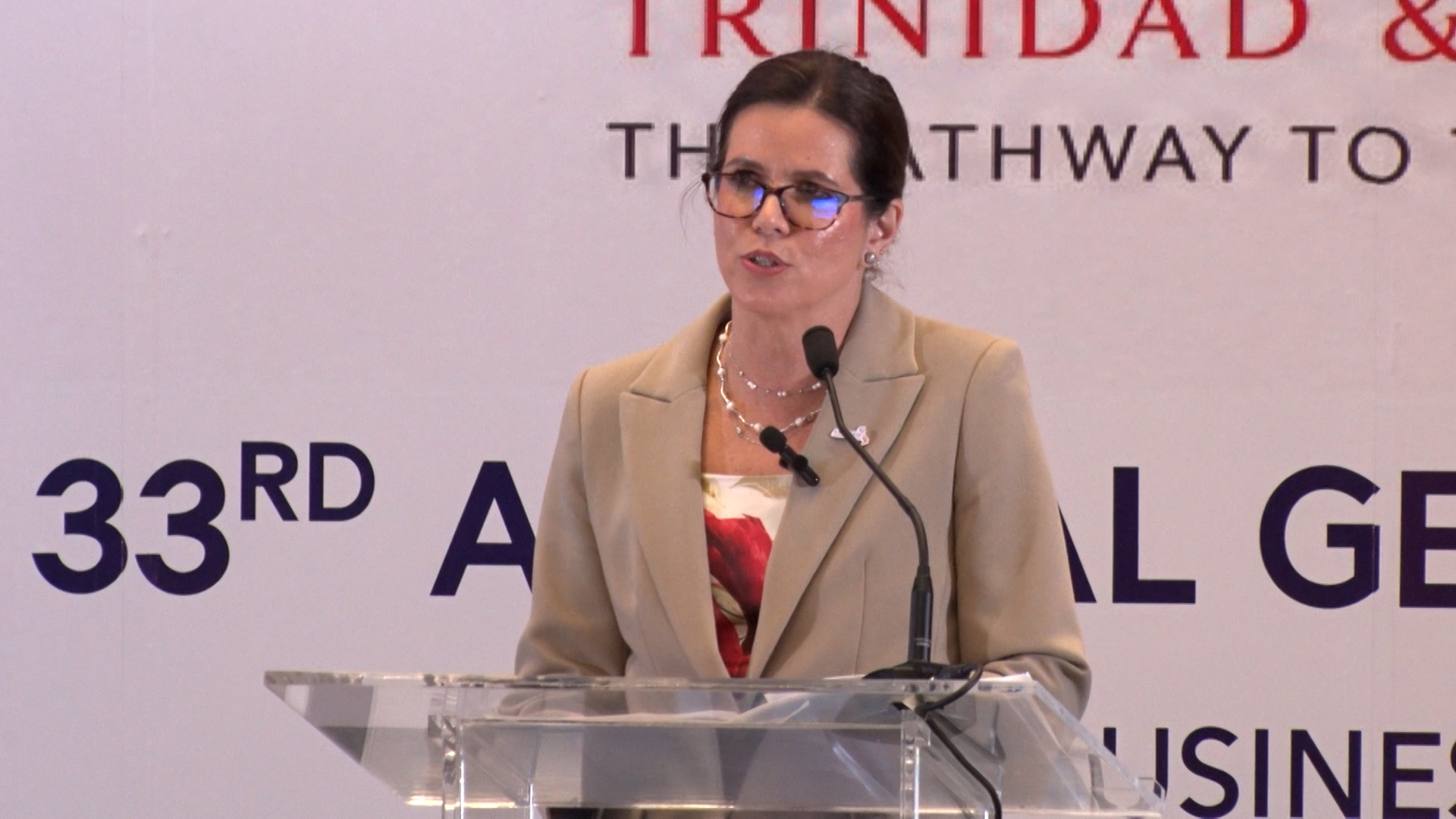 AMCHAM President Calls For Urgent Action To Secure T&T’s Energy Future