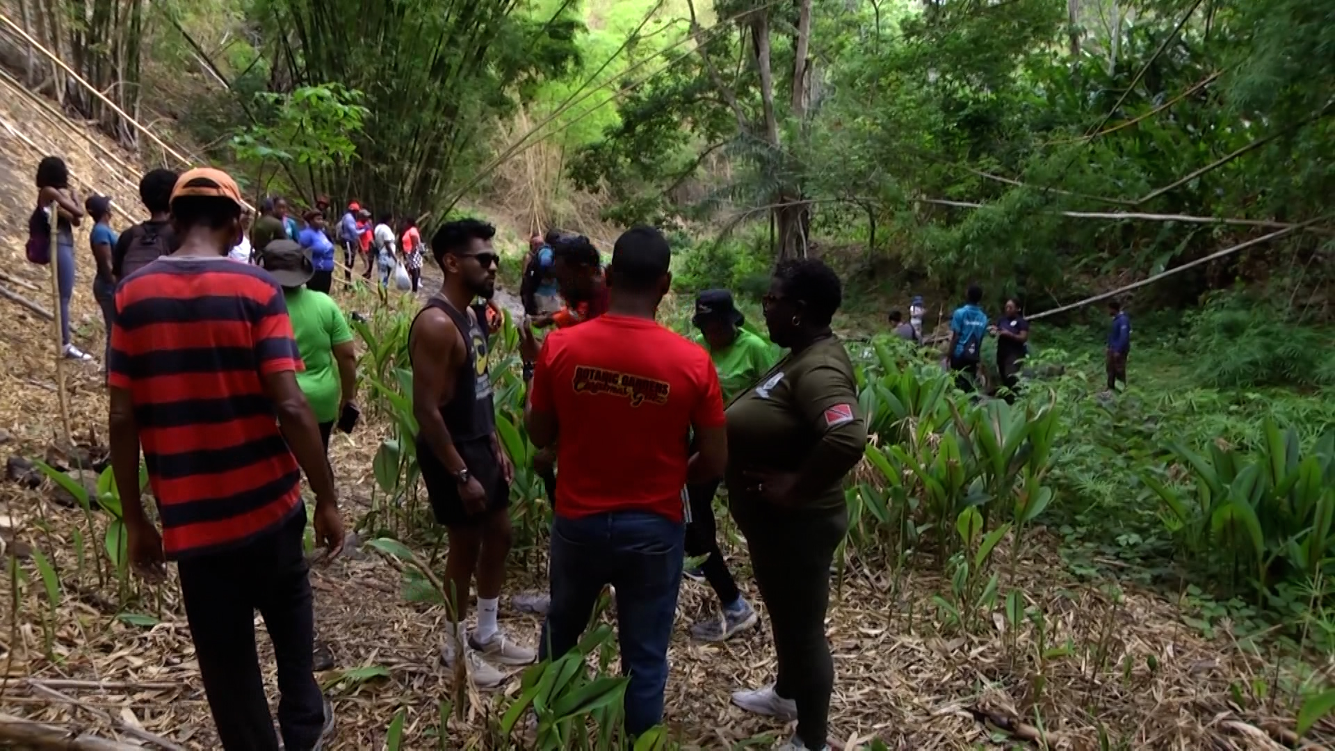 Les Coteaux Steps Up Climate Fight With Tree Planting Initiative