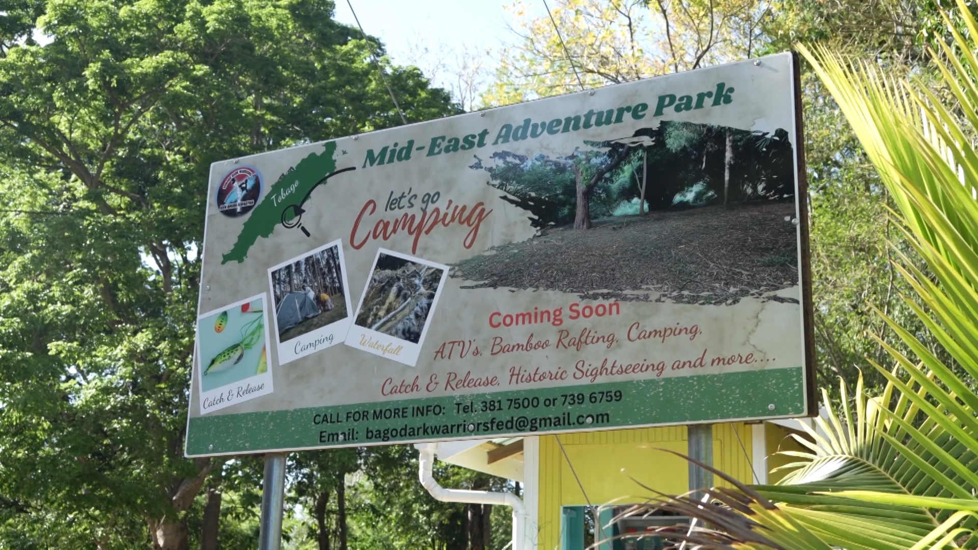 Tobago Reforestation Programme Highlights Sustainable Development Success