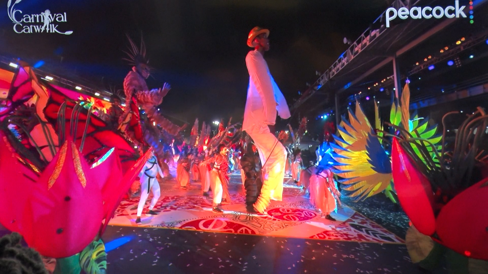 Carnival Catwalk Success Provides Blueprint For Local Film Producers